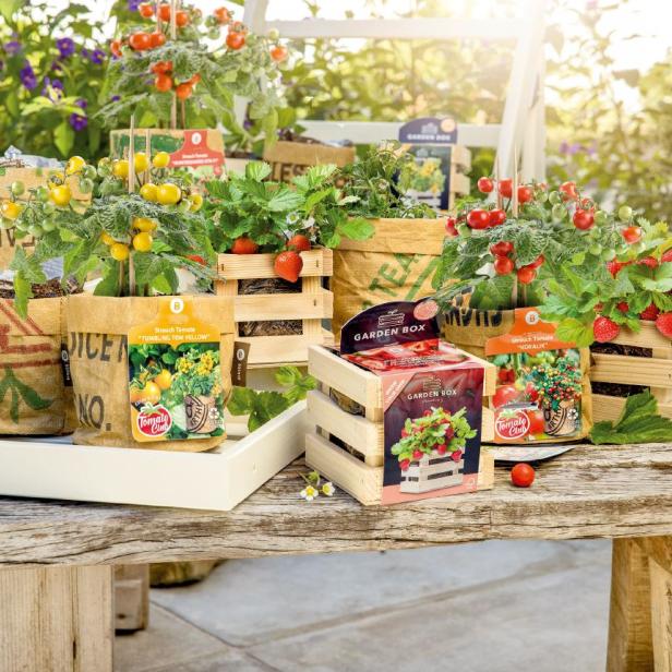 Frühlingshaft bunt, köstlich und für jede Fläche – ob Garten, Balkon, Terrasse oder Fensterbrett – geeignet: verschiedene Anzucht-Sets und Gemüsepflanzen von INTERSPAR.