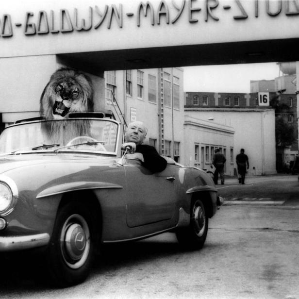 Alfred Hitchcock fuhr mit einem Mercedes-Cabrio aus dem MGM-Studi. Am Rücksitz saß Leo, der Löwe.