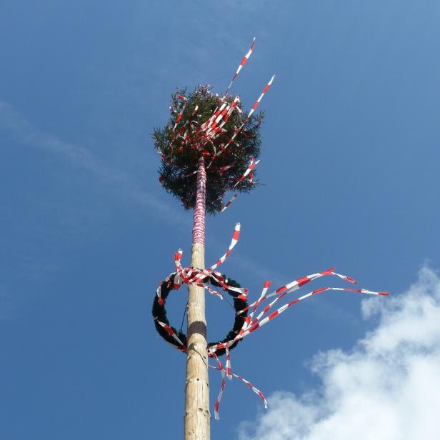 Ein Maibaum mit rot-weißen Bändern vor blauem Himmel.