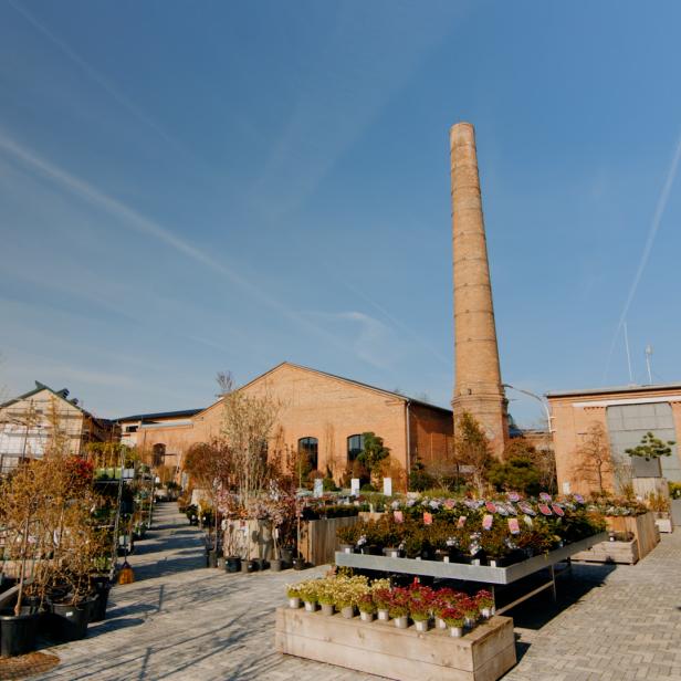 Reduce, Reuse, Recycle: Flächenleerstand sinnvoll nutzen