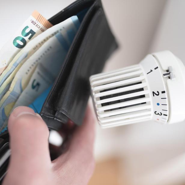 Auf klimafreundliche Heizung umsteigen und Geld sparen