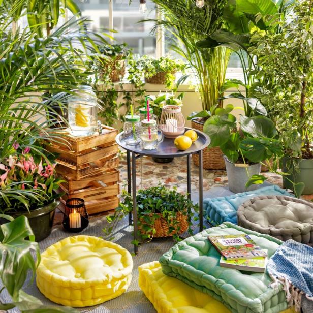 Jetzt mit Pflanzen und Wohnaccessoires von INTERSPAR die eigene Wohlfühloase zu Hause kreieren.
