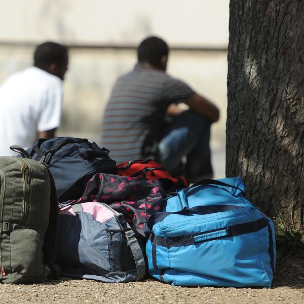 Zwei Männer sitzen hinter einem Berg von Gepäck, man sieht sie nur von hinten.