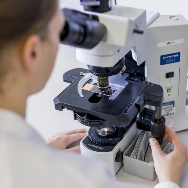 Octapharma entwickelt und produziert an weltweiten Standorten lebenswichtige Blutplasma-Produkte.