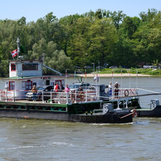 Eine kleine Fähre überquert die Donau mit Passagieren und Autos.