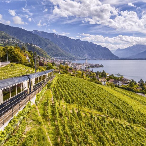 Ein Zug fährt durch die Weinberge in der Schweiz am Genfersee.