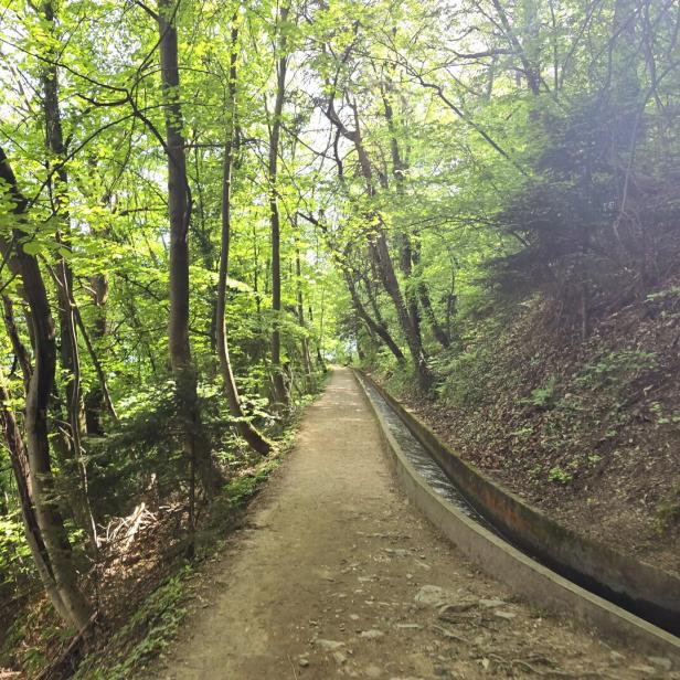 Waalweg in Südtirol, Nähe Meran, kleiner Kanal im Wald.