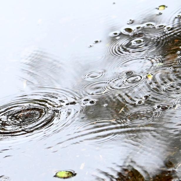 Symbolbild: Regentropfen erzeugen konzentrische Kreise auf einer ruhigen Wasseroberfläche.