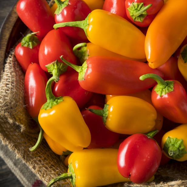 Rote und gelbe Mini-Paprika in einer Schale.