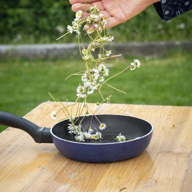 Eine Hand lässt Gänseblümchen in eine Bratpfanne fallen.