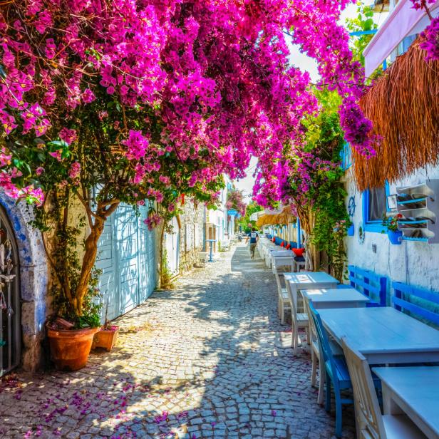 Eine malerische Gasse mit blühenden Bougainvillea-Bäumen und weiß-blauen Tischen und Bänken.