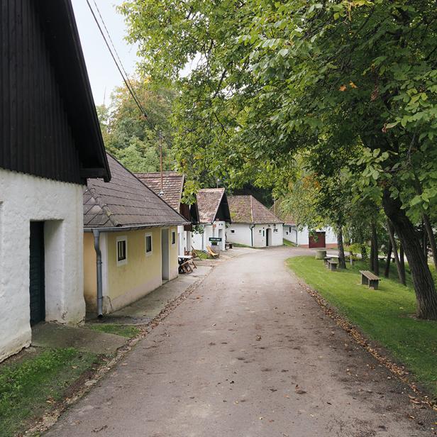 Kellergasse von Platt im Weinviertel