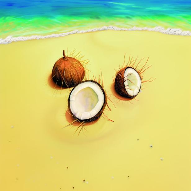 Drei Kokosnüsse liegen am Strand.