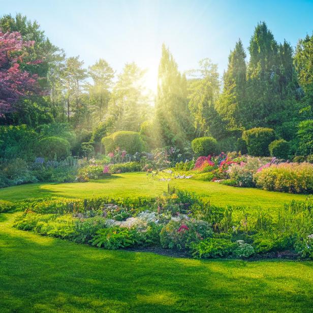 Ein gepflegter Garten mit blühenden Blumen und Bäumen im Sonnenlicht.