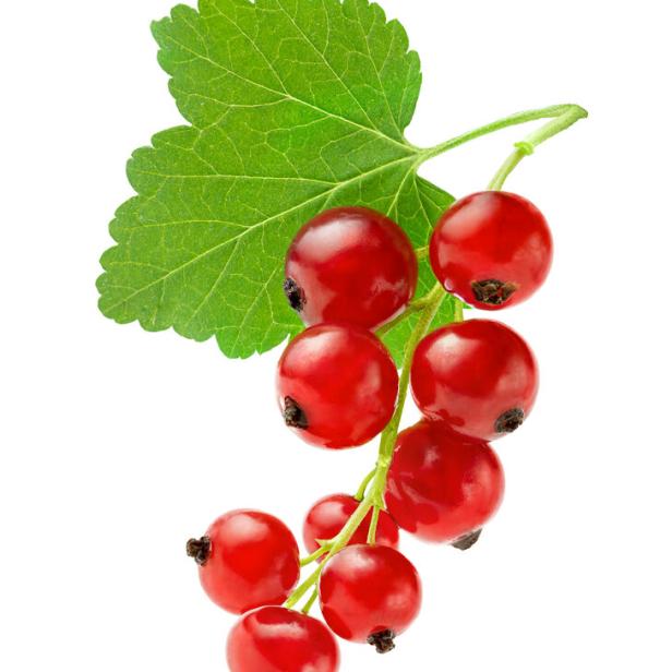 Ein Zweig mit roten Johannisbeeren und einem grünen Blatt.