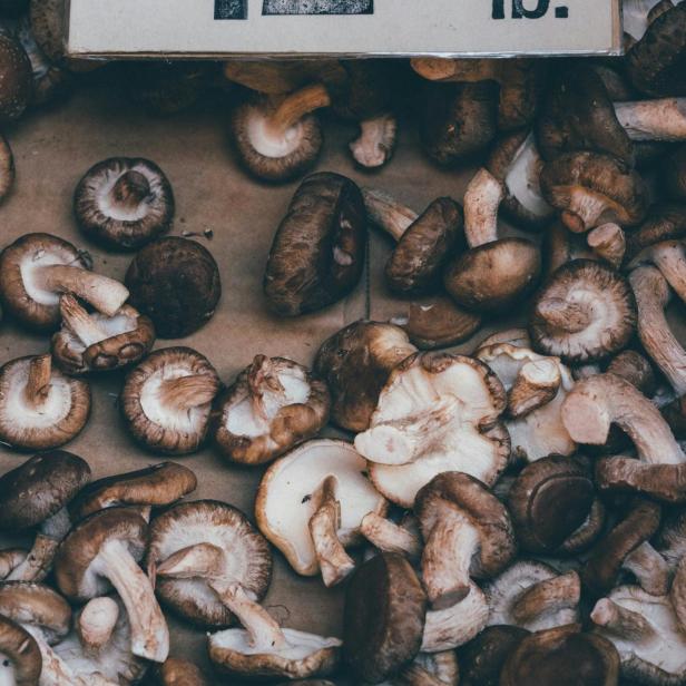 Ein Schild zeigt den Preis für Bio-Shiitake-Pilze: 12,50 Dollar pro Pfund.
