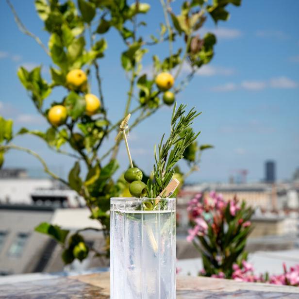 Ein erfrischender Cocktail mit Oliven und Rosmarin vor einem Zitronenbaum auf einer Dachterrasse.