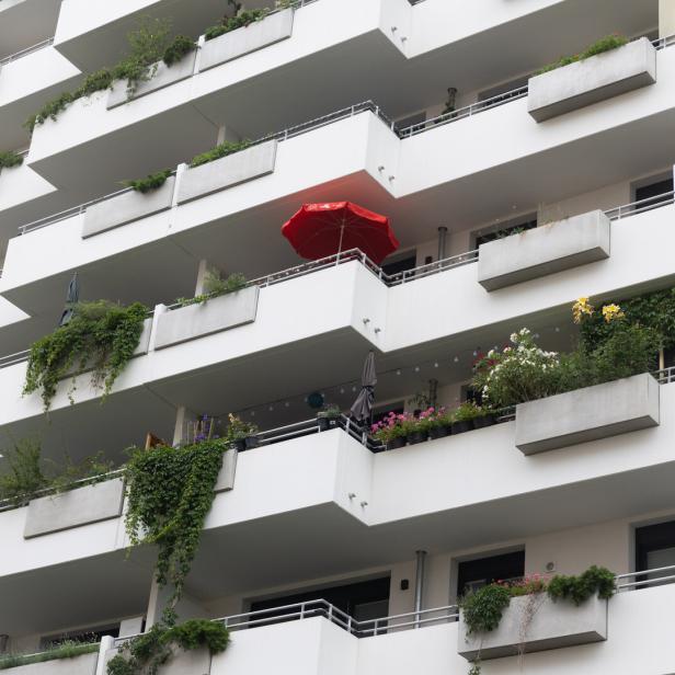 Wohnbau, Wohnhaus, Wohungen, Immobilien