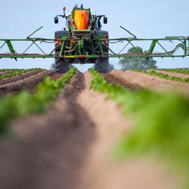 Landwirt düngt Kartoffelfeld.