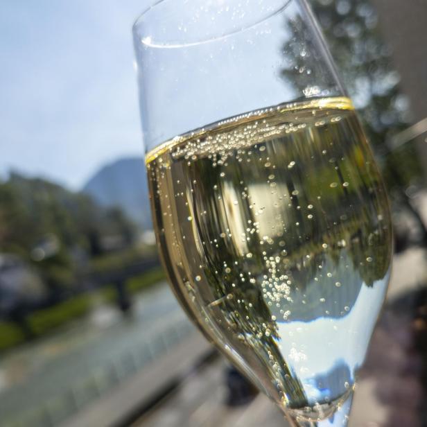 Ein Glas Sekt mit Blick auf eine grüne Landschaft.