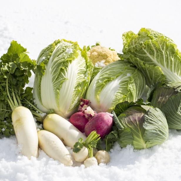 Verschiedene Gemüsesorten liegen im Schnee.