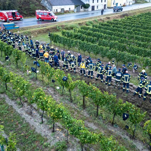 Weinlese nach den Unwettern: Trauben könnten faulen  