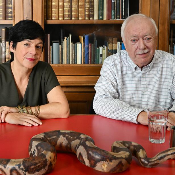 Der KURIER hat Dr. Silke Schweiger, Kuratorin der herpetologischen Sammlung, und Dr. Michael Häupl zum Gespräch im Naturhistorischen Museum Wien getroffen.