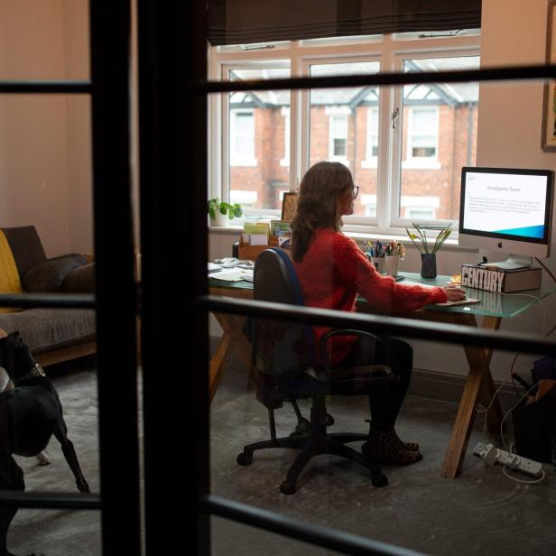 Eine Person arbeitet am Schreibtisch vor einem Computer, während zwei Hunde im Raum spielen.