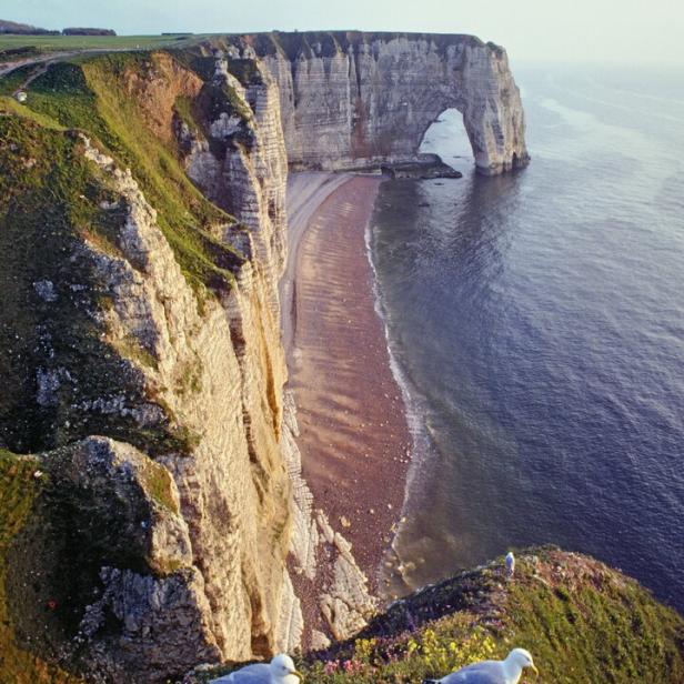 Zwei Möwen sitzen auf einer Klippe mit Blick auf Étretat in der Normandie.