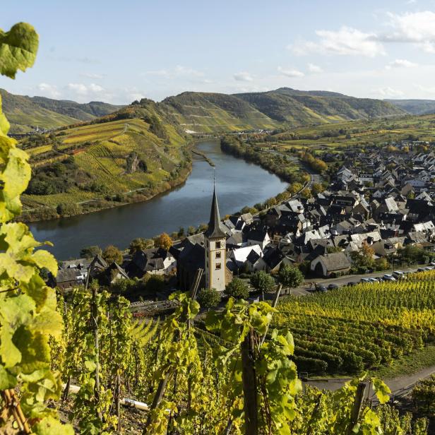 Ein Blick über die Mosel auf ein Dorf mit Kirche, umgeben von Weinbergen.