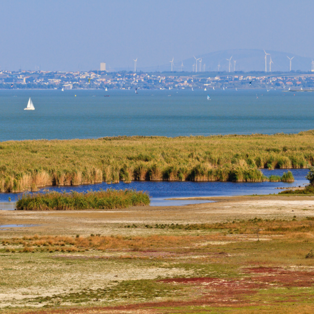 Über die Zukunft reden: Als anerkanntes Welterbe der UNESCO bildet der Neusiedler See eine perfekte Kulisse für die „Illmitzer Gespräche“.