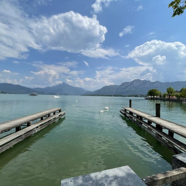 Luxusvilla statt Landwirtschaft? Umstrittener Bauernhof am Mondsee