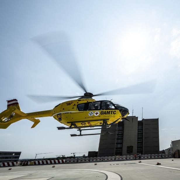 Gelbe Engel in NÖ: Naturschützer protestieren gegen neuen Heli-Standort