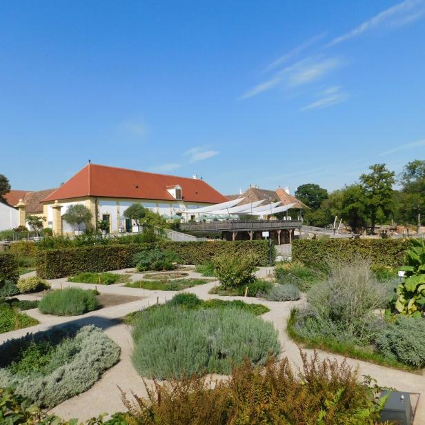Der Kräutergarten von Schloss Hof.