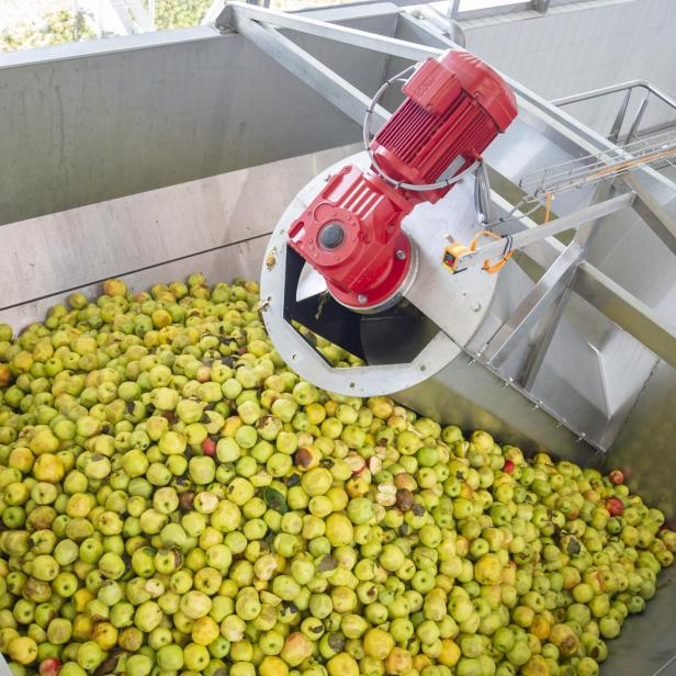 Steirischer Apfelsaft für 2,99 Euro: "Wer soll  denn das noch kaufen?"