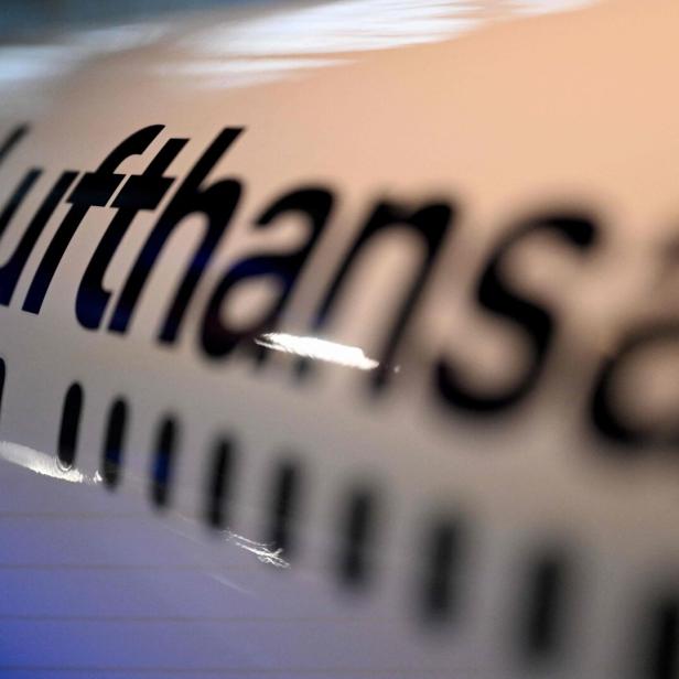 Vogelschlag führte bei Lufthansa-Flug nach Salzburg zu Problemen