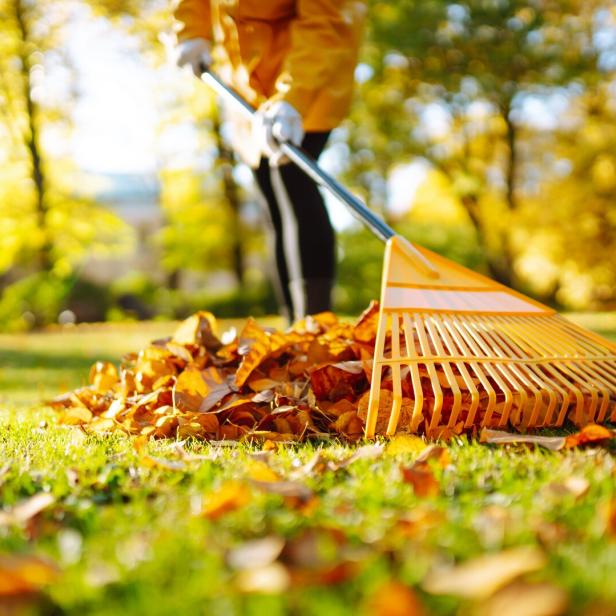 Der winterfitte Garten: 10 Arbeiten, die jetzt erledigt werden sollten