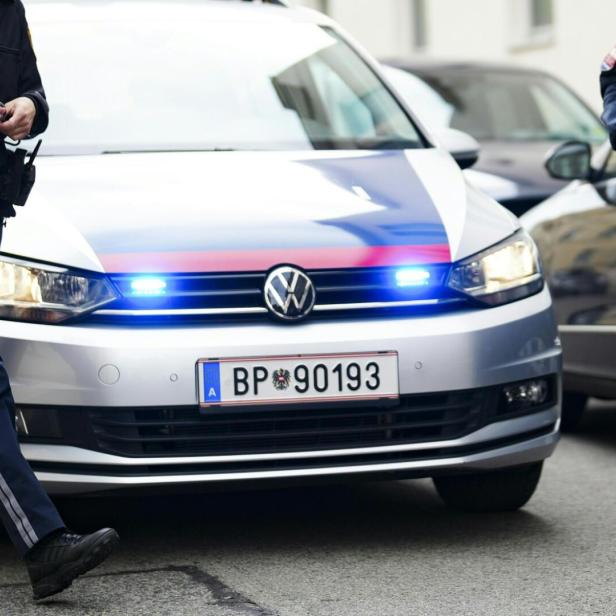 Themenbild: Polizisten vor Polizeiauto
