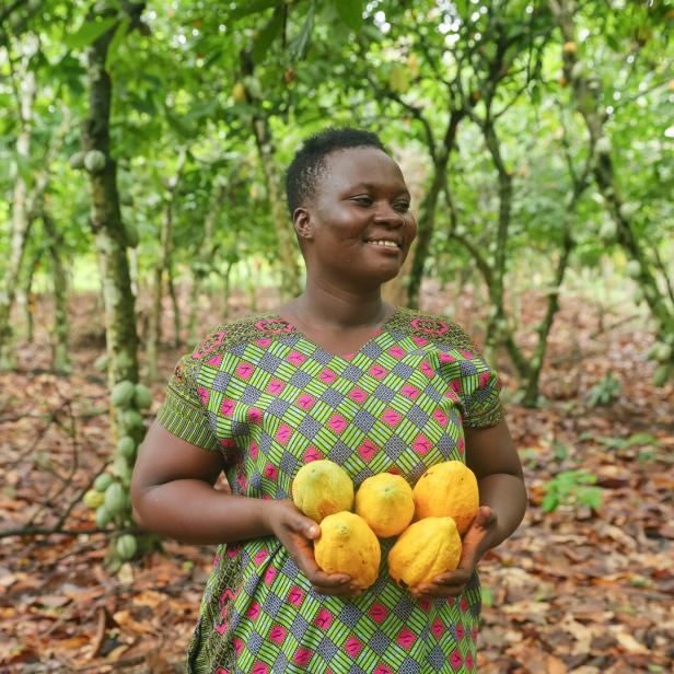 Wie Frauen in Ghana von fairem Kakao-Anbau profitieren