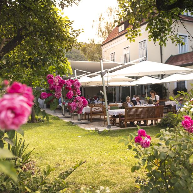 Ein Restaurantgarten mit Gästen unter Sonnenschirmen und blühenden Rosen im Vordergrund.
