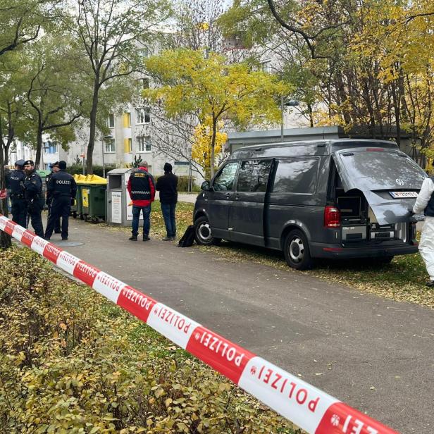 Babyleiche gefunden: Mutter gibt "familiäre Probleme" für Tat an