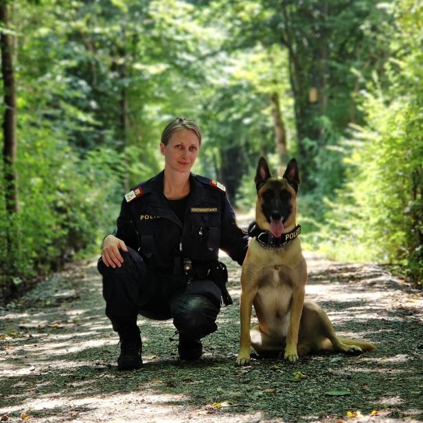 Polizeihund "Poko" erschnüffelte Drogenverstecke in der Steiermark