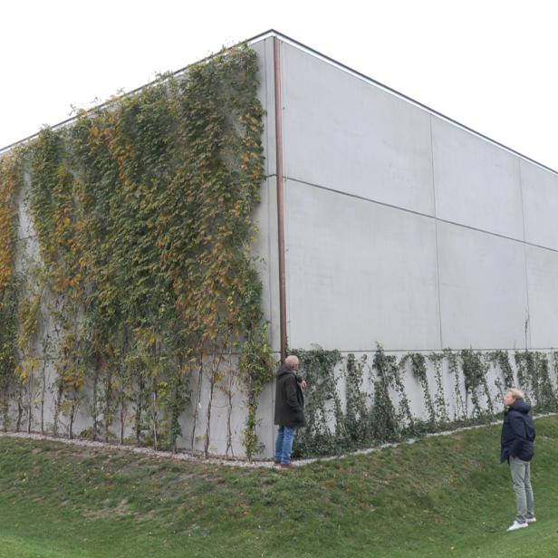 Ein graues einstöckiges Gebäude mit Begrünung an der Fassade. Davor eine Wiese mit zwei Personen.