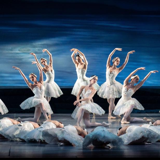 Eine Bühne: Balletttänzerinnen im Tutu stehen, knien und liegen am Boden und bilden Schwäne nach.