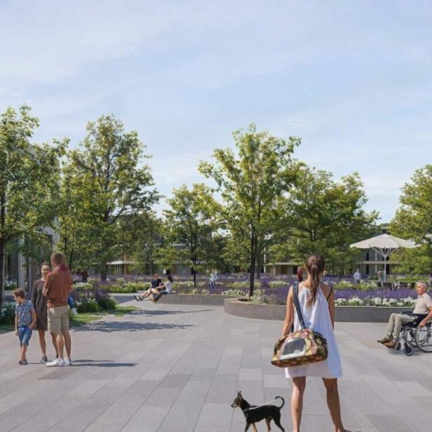 Ein Entwurf für das "Projekt Wiesenpark" in Breitenfurt zeigt Gebäude und Bäume.