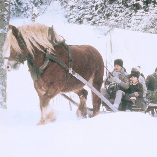 Ein Pferd zieht einen Schlitten mit einer Familie durch eine verschneite Winterlandschaft.