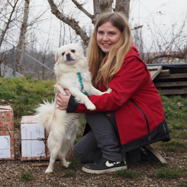 Weihnachten für Hund und Katz: Eine tierisch schöne Bescherung