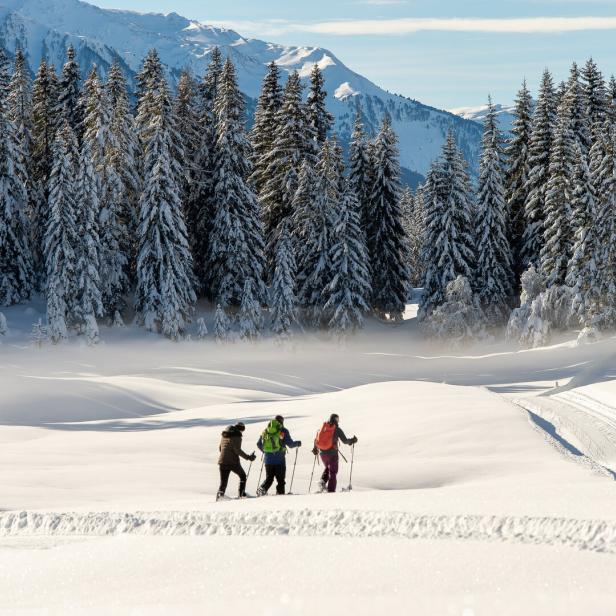 Drei Personen wandern mit Schneeschuhen durch eine verschneite Winterlandschaft mit Tannenbäumen und Bergen im Hintergrund.