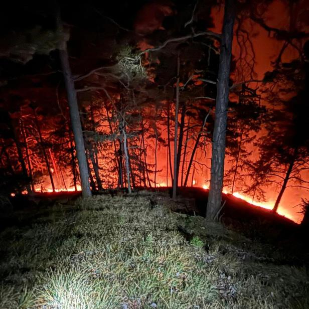 Waldbrand wütet in Graz-Umgebung, verletzte Einsatzkräfte