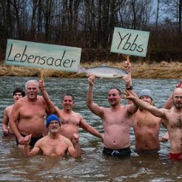 Kälteresistente Naturaktivisten springen am Dreikönigstag wieder in die Fluten